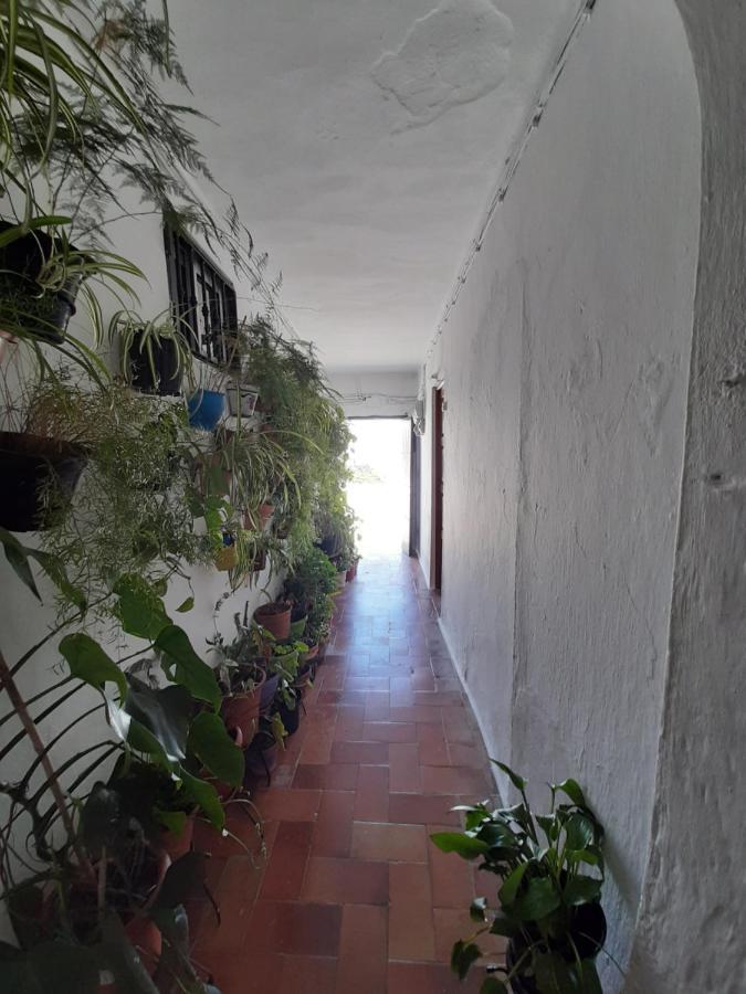 Dos Casitas, Dos Calles, - Loft De La Morena O Estudio Jr Vejer de la Frontera Extérieur photo