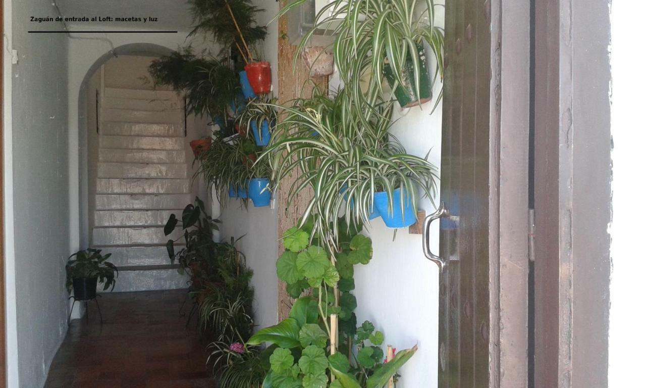 Dos Casitas, Dos Calles, - Loft De La Morena O Estudio Jr Vejer de la Frontera Extérieur photo